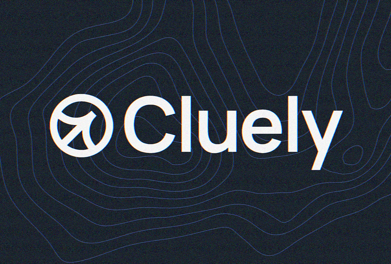 Cluely portfolio image